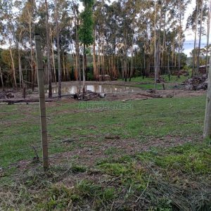 Chácara com 21124m², no bairro Vila Oliva em Caxias do Sul para Comprar