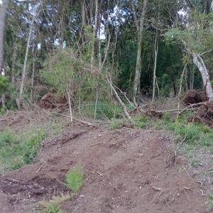 Chácara com 21124m², no bairro Vila Oliva em Caxias do Sul para Comprar