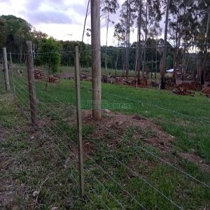 Chácara com 21124m², no bairro Vila Oliva em Caxias do Sul para Comprar