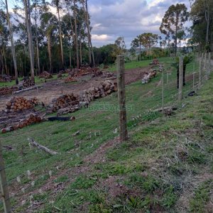 Chácara com 21124m², no bairro Vila Oliva em Caxias do Sul para Comprar