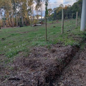 Chácara com 21124m², no bairro Vila Oliva em Caxias do Sul para Comprar