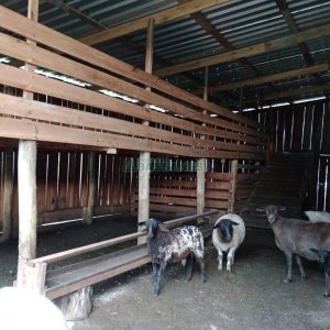 Chácara com 21124m², no bairro Vila Oliva em Caxias do Sul para Comprar