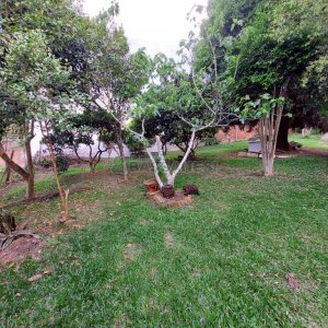 Casa com 306m², 3 dormitórios, 1 vaga, no bairro Pedancino em Caxias do Sul para Comprar