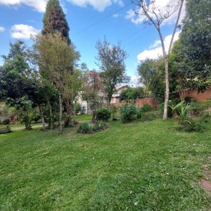 Casa com 306m², 3 dormitórios, 1 vaga, no bairro Pedancino em Caxias do Sul para Comprar