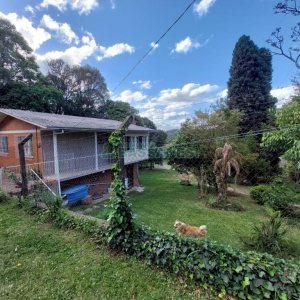 Casa com 306m², 3 dormitórios, 1 vaga, no bairro Pedancino em Caxias do Sul para Comprar