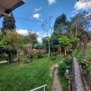 Casa com 306m², 3 dormitórios, 1 vaga, no bairro Pedancino em Caxias do Sul para Comprar