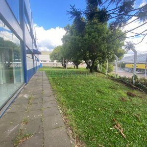 Pavilhão com 1300m², no bairro Cidade Nova em Caxias do Sul para Alugar