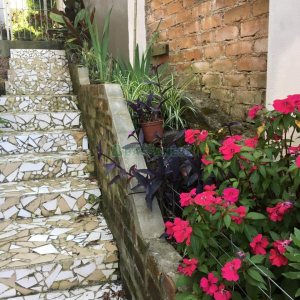 Casa com 450m², 4 dormitórios, 2 vagas, no bairro Rio Branco em Caxias do Sul para Comprar