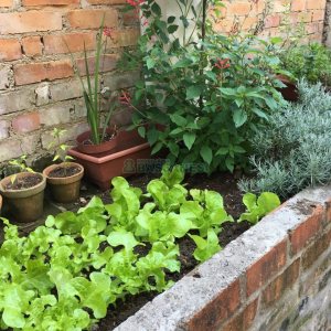 Casa com 450m², 4 dormitórios, 2 vagas, no bairro Rio Branco em Caxias do Sul para Comprar