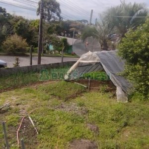 Casa com 146m², 3 dormitórios, 1 vaga, no bairro Diamantino em Caxias do Sul para Comprar