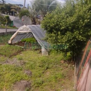 Casa com 146m², 3 dormitórios, 1 vaga, no bairro Diamantino em Caxias do Sul para Comprar