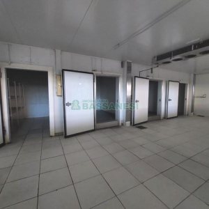 Pavilhão com 1600m², no bairro Bela Vista em Caxias do Sul para Alugar