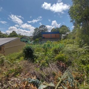 Terreno, no bairro Sanvitto em Caxias do Sul para Comprar