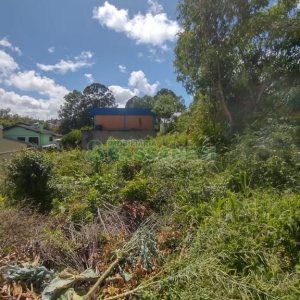 Terreno, no bairro Sanvitto em Caxias do Sul para Comprar