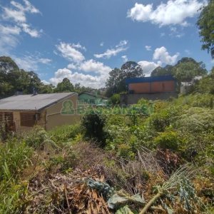 Terreno, no bairro Sanvitto em Caxias do Sul para Comprar