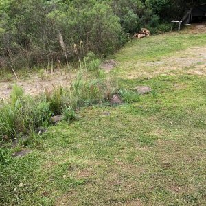 Terreno com 37387m², no bairro Sao Lucas em Caxias do Sul para Comprar