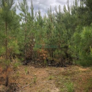 Terreno com 37387m², no bairro Sao Lucas em Caxias do Sul para Comprar