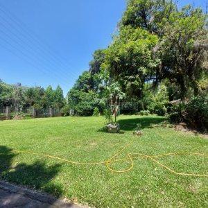 Casa com 350m², 5 dormitórios, 2 vagas, no bairro São Virgílio em Caxias do Sul para Alugar ou Comprar