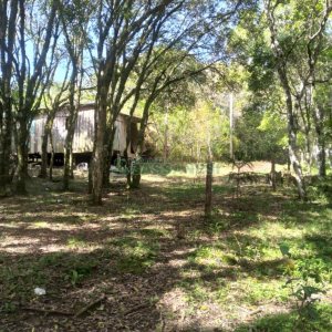 Chácara com 60m², 2 dormitórios, no bairro Criúva em Caxias do Sul para Comprar