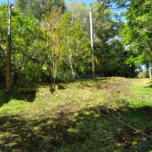 Chácara com 60m², 2 dormitórios, no bairro Criúva em Caxias do Sul para Comprar