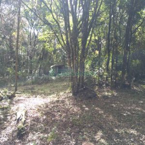 Chácara com 60m², 2 dormitórios, no bairro Criúva em Caxias do Sul para Comprar