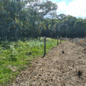 Chácara com 60m², 2 dormitórios, no bairro Criúva em Caxias do Sul para Comprar