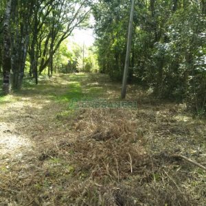 Chácara com 60m², 2 dormitórios, no bairro Criúva em Caxias do Sul para Comprar