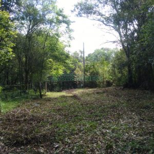 Chácara com 60m², 2 dormitórios, no bairro Criúva em Caxias do Sul para Comprar