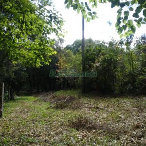 Chácara com 60m², 2 dormitórios, no bairro Criúva em Caxias do Sul para Comprar