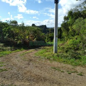 Chácara com 60m², 2 dormitórios, no bairro Criúva em Caxias do Sul para Comprar