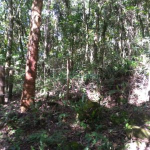 Chácara com 60m², 2 dormitórios, no bairro Criúva em Caxias do Sul para Comprar