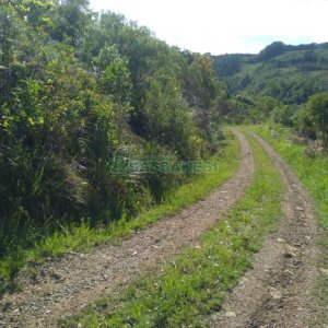 Chácara com 60m², 2 dormitórios, no bairro Criúva em Caxias do Sul para Comprar