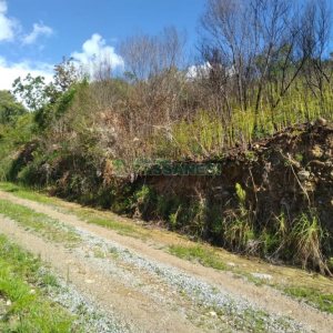 Chácara com 60m², 2 dormitórios, no bairro Criúva em Caxias do Sul para Comprar