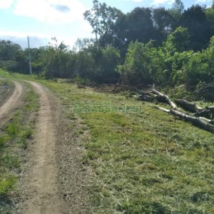 Chácara com 60m², 2 dormitórios, no bairro Criúva em Caxias do Sul para Comprar