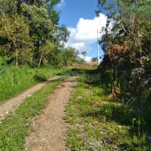 Chácara com 60m², 2 dormitórios, no bairro Criúva em Caxias do Sul para Comprar