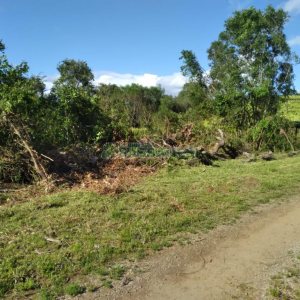 Chácara com 60m², 2 dormitórios, no bairro Criúva em Caxias do Sul para Comprar