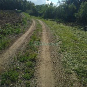 Chácara com 60m², 2 dormitórios, no bairro Criúva em Caxias do Sul para Comprar