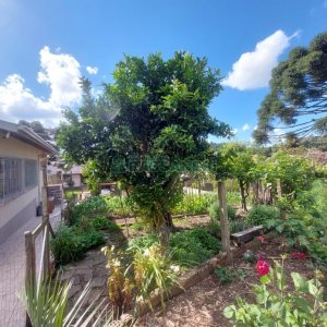 Casa com 143m², 5 dormitórios, no bairro São Ciro em Caxias do Sul para Comprar