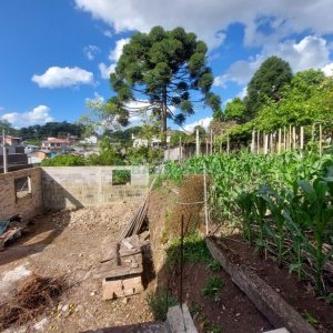 Casa com 143m², 5 dormitórios, no bairro São Ciro em Caxias do Sul para Comprar