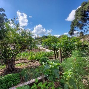 Casa com 143m², 5 dormitórios, no bairro São Ciro em Caxias do Sul para Comprar