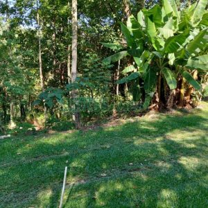 Terreno, no bairro Linha Feijo em Caxias do Sul para Comprar