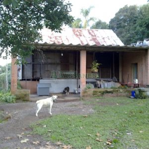 Terreno, no bairro Linha Feijo em Caxias do Sul para Comprar