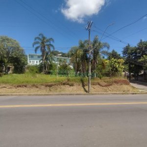 Terreno, no bairro Salgado Filho em Caxias do Sul para Comprar