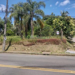 Terreno, no bairro Salgado Filho em Caxias do Sul para Comprar