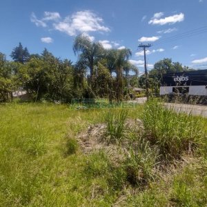 Terreno, no bairro Salgado Filho em Caxias do Sul para Comprar