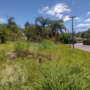 Terreno, no bairro Salgado Filho em Caxias do Sul para Comprar