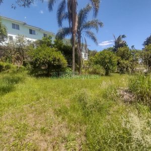 Terreno, no bairro Salgado Filho em Caxias do Sul para Comprar