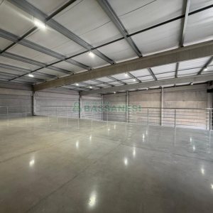 Pavilhão com 636m², no bairro Linha 40 em Caxias do Sul para Alugar