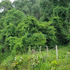 Terreno, no bairro São Giácomo em Caxias do Sul para Comprar