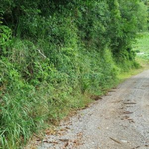 Terreno, no bairro São Giácomo em Caxias do Sul para Comprar